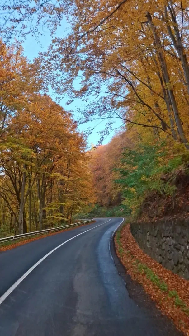 Ősz Erdélyben 1.webp